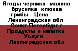 Ягоды черника, малина, брусника, клюква, грибы › Цена ­ 200 - Ленинградская обл., Санкт-Петербург г. Продукты и напитки » Услуги   . Ленинградская обл.